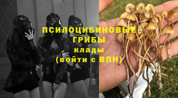 мяу мяу мука Абаза
